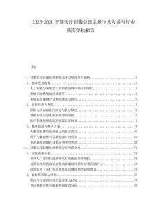 2025-2030智慧醫(yī)療影像處理系統(tǒng)技術(shù)發(fā)展與行業(yè)供需分析報(bào)告