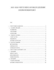 2025-2030中國(guó)汽車(chē)保險(xiǎn)行業(yè)市場(chǎng)競(jìng)爭(zhēng)及供需調(diào)研及發(fā)展前景規(guī)劃研究報(bào)告