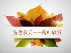 小學綜合實踐精品課件：一上 留住秋天