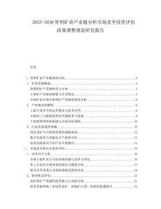 2025-2030智利礦業產業鏈分析市場競爭投資評估政策調整規劃研究報告