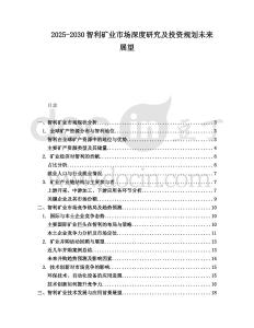 2025-2030智利礦業市場深度研究及投資規劃未來展望