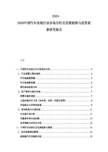 2025-2030中國汽車改裝行業(yè)市場分析及發(fā)展趨勢與投資前景研究報告