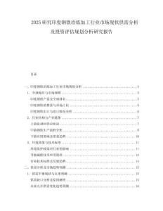 2025研究印度鋼鐵冶煉加工行業(yè)市場現(xiàn)狀供需分析及投資評估規(guī)劃分析研究報告