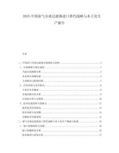 2025中國油氣分離過濾器進口替代戰(zhàn)略與本土化生產報告