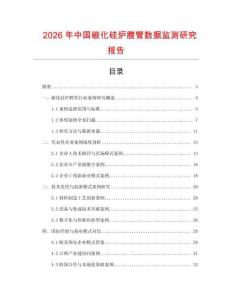 2026年中國(guó)碳化硅爐膛管數(shù)據(jù)監(jiān)測(cè)研究報(bào)告