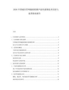 2026中國城市管網(wǎng)漏損檢測聲波傳感器技術(shù)比較與選型指南報告