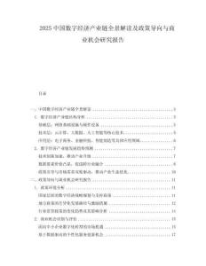 2025中國數(shù)字經(jīng)濟產(chǎn)業(yè)鏈全景解讀及政策導(dǎo)向與商業(yè)機會研究報告