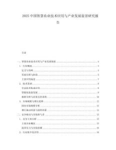 2025中國(guó)智慧農(nóng)業(yè)技術(shù)應(yīng)用與產(chǎn)業(yè)發(fā)展前景研究報(bào)告