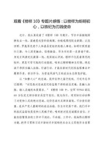 觀看《榜樣10》專題片感悟：以榜樣為炬明初心，以鐵紀為刃踐使命