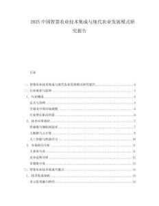 2025中國(guó)智慧農(nóng)業(yè)技術(shù)集成與現(xiàn)代農(nóng)業(yè)發(fā)展模式研究報(bào)告