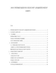2025智慧城市建設(shè)項目需求分析與基建投資風(fēng)險評估報告