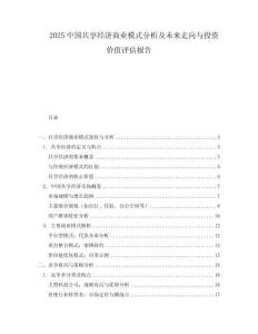 2025中國共享經(jīng)濟商業(yè)模式分析及未來走向與投資價值評估報告