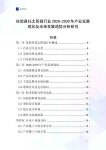 硅膠鼻托太陽鏡行業(yè)2026-2030年產(chǎn)業(yè)發(fā)展現(xiàn)狀及未來發(fā)展趨勢分析研究