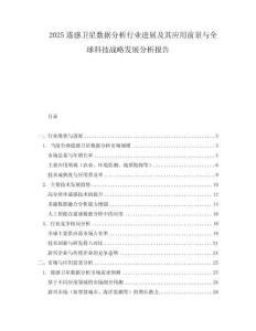2025遙感衛(wèi)星數(shù)據(jù)分析行業(yè)進(jìn)展及其應(yīng)用前景與全球科技戰(zhàn)略發(fā)展分析報(bào)告