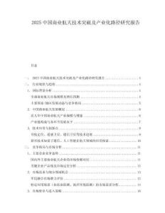 2025中國商業(yè)航天技術突破及產(chǎn)業(yè)化路徑研究報告