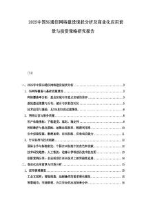 2025中國5G通信網絡建設現狀分析及商業化應用前景與投資策略研究報告