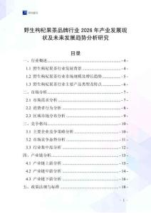 野生枸杞果茶品牌行業(yè)2026年產(chǎn)業(yè)發(fā)展現(xiàn)狀及未來(lái)發(fā)展趨勢(shì)分析研究