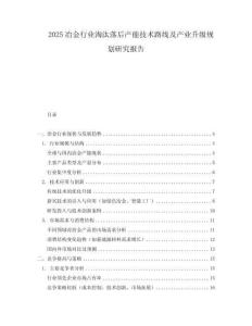2025冶金行業(yè)淘汰落后產(chǎn)能技術(shù)路線及產(chǎn)業(yè)升級(jí)規(guī)劃研究報(bào)告