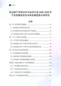 硅冶煉產(chǎn)學(xué)研合作與技術(shù)行業(yè)2026-2030年產(chǎn)業(yè)發(fā)展現(xiàn)狀及未來(lái)發(fā)展趨勢(shì)分析研究