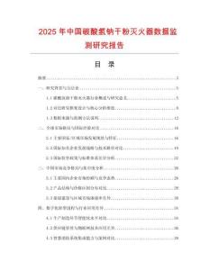 2025年中國碳酸氫鈉干粉滅火器數據監測研究報告