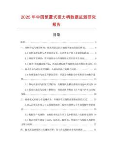 2025年中國預置式扭力柄數據監測研究報告