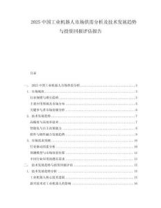 2025中國工業(yè)機(jī)器人市場供需分析及技術(shù)發(fā)展趨勢與投資回報評估報告