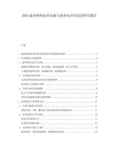2025超導(dǎo)材料技術(shù)突破與商業(yè)化應(yīng)用前景研究報(bào)告
