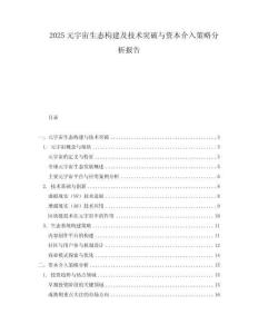 2025元宇宙生態(tài)構(gòu)建及技術(shù)突破與資本介入策略分析報告