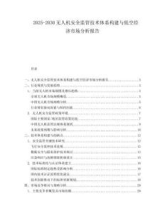 2025-2030無(wú)人機(jī)安全監(jiān)管技術(shù)體系構(gòu)建與低空經(jīng)濟(jì)市場(chǎng)分析報(bào)告