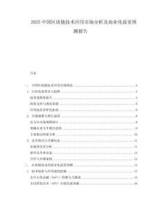 2025中國區(qū)塊鏈技術(shù)應(yīng)用市場分析及商業(yè)化前景預測報告