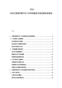 2025-2030文物保護數(shù)字化工作體系建設(shè)市場發(fā)展咨詢規(guī)劃