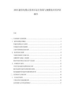 2025超導(dǎo)電纜示范項(xiàng)目運(yùn)行效果與規(guī)?；瘧?yīng)用評(píng)估報(bào)告