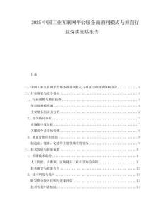2025中國工業(yè)互聯(lián)網(wǎng)平臺服務(wù)商盈利模式與垂直行業(yè)深耕策略報告