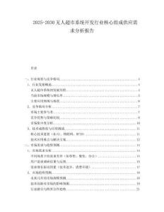 2025-2030無人超市系統(tǒng)開發(fā)行業(yè)核心組成供應(yīng)需求分析報告