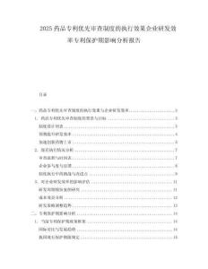2025藥品專(zhuān)利優(yōu)先審查制度的執(zhí)行效果企業(yè)研發(fā)效率專(zhuān)利保護(hù)期影響分析報(bào)告