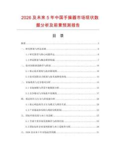 2026及未來5年中國手操器市場現(xiàn)狀數(shù)據(jù)分析及前景預(yù)測報告