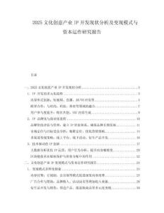 2025文化創(chuàng)意產(chǎn)業(yè)IP開發(fā)現(xiàn)狀分析及變現(xiàn)模式與資本運作研究報告