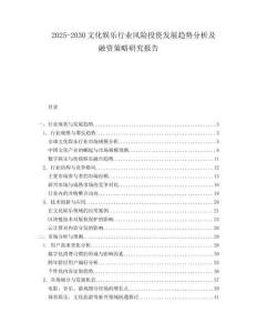 2025-2030文化娛樂行業(yè)風(fēng)險投資發(fā)展趨勢分析及融資策略研究報告