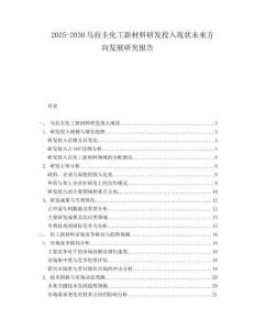 2025-2030烏拉圭化工新材料研發(fā)投入現(xiàn)狀未來(lái)方向發(fā)展研究報(bào)告