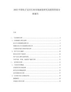 2025中國電子支付行業(yè)市場深度研究及投資價值分析報告