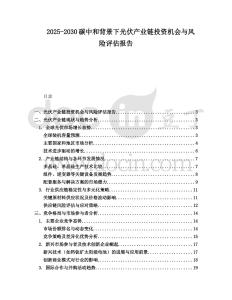 2025-2030碳中和背景下光伏產(chǎn)業(yè)鏈投資機(jī)會(huì)與風(fēng)險(xiǎn)評(píng)估報(bào)告