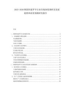 2025-2030韓國坦索羅辛行業(yè)市場深度調(diào)研及發(fā)展趨勢和前景預(yù)測研究報告