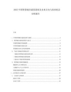 2025中國智慧城市建設(shè)進(jìn)展及未來方向與商業(yè)機(jī)會分析報(bào)告