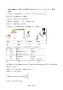 2025-2026學(xué)年四川省資陽市安岳縣九年級（上）期末化學(xué)試卷（含答案）