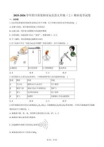 2025-2026學(xué)年四川省資陽市安岳縣九年級（上）期末化學(xué)試卷（含答案）