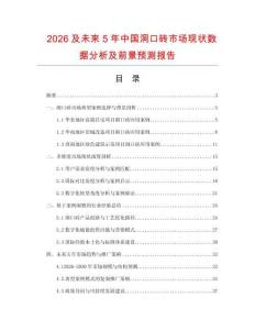 2026及未來5年中國(guó)洞口磚市場(chǎng)現(xiàn)狀數(shù)據(jù)分析及前景預(yù)測(cè)報(bào)告