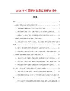 2026年中國(guó)腳剎數(shù)據(jù)監(jiān)測(cè)研究報(bào)告