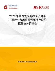 2026年中國去除瓷磚卡子用手工具行業(yè)市場前景預(yù)測及投資價(jià)值評估分析報(bào)告
