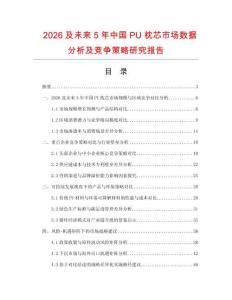 2026及未來5年中國PU枕芯市場數據分析及競爭策略研究報告
