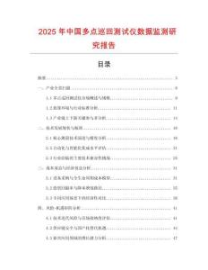 2025年中國多點巡回測試儀數(shù)據(jù)監(jiān)測研究報告